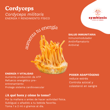 Cargar imagen en el visor de la galería, Cordyceps Líquido 50ml – Energía y Vitalidad Natural - Symbiosis