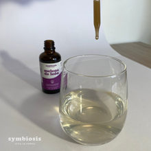 Cargar imagen en el visor de la galería, Melena de León Líquido 50ml – Apoyo Cognitivo y Neurológico - Symbiosis