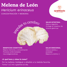 Cargar imagen en el visor de la galería, Melena de León Líquido 50ml – Apoyo Cognitivo y Neurológico - Symbiosis