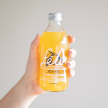 Cargar imagen en el visor de la galería, Félix Mandarina Yucatán 355 ml
