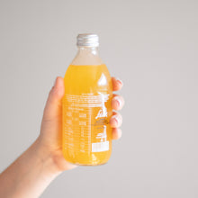 Cargar imagen en el visor de la galería, Félix Mandarina Yucatán 355 ml