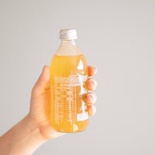 Cargar imagen en el visor de la galería, Félix Maracuya Veracruz 355 ml