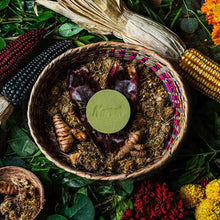 Cargar imagen en el visor de la galería, Shampoo anticaída - cabello delgado 100g - NANAH