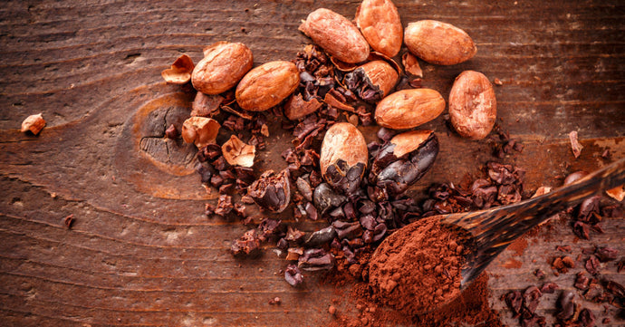 Cacao Nibs: una solución saludable al consumo de chocolate