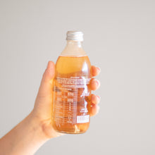 Cargar imagen en el visor de la galería, Félix Guayaba Michoacán 355 ml
