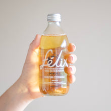 Cargar imagen en el visor de la galería, Félix Manzana Chihuahua 355 ml

